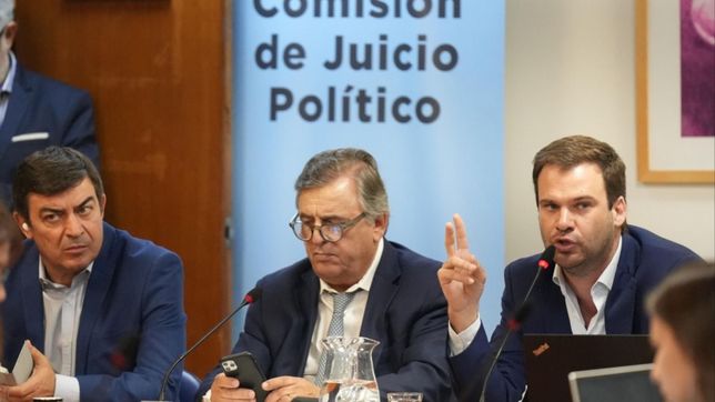 para su molino: el fdt y jxc actuaron su guion en la comision de juicio politico