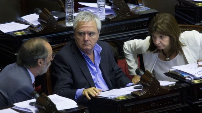 el pro prepara un manual para la argentina del dia despues