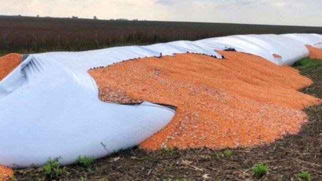 el sector agroindustrial apoya el proyecto de massa contra el vandalismo rural