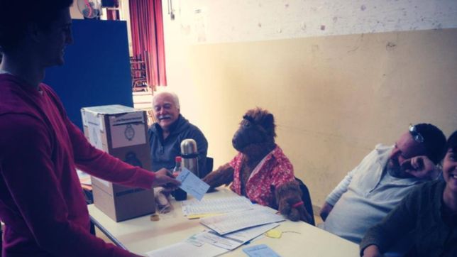 alf volvio a la tierra y el primer paso fue electoral