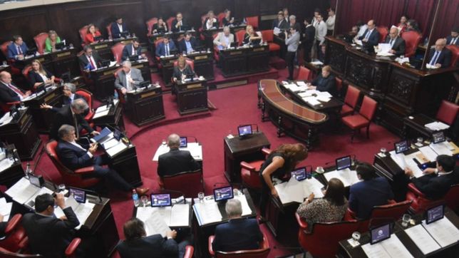 con fuertes cambios, el senado voto por unanimidad la reforma laboral de vidal