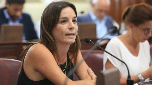 reforma con reeleccion... en 2031: curiosa idea de diputada santafesina del evita