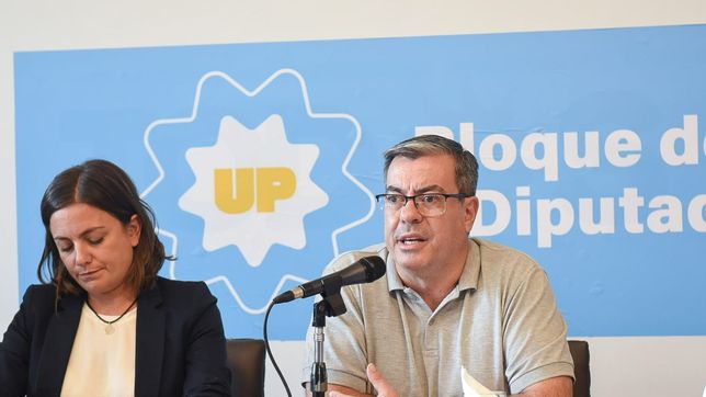 Germán Martínez y Vanesa Siley de Unión por la Patria, el bloque que quiere juicio político a Javier Milei.&nbsp;