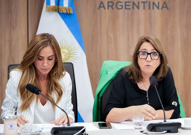 Victoria Tolosa Paz y Viviana Fein, durante el informe de fentanilo en Diputados. 