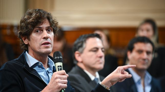 Martín Lousteau, senador y presidente de la UCR. 