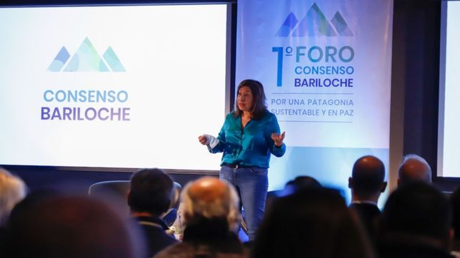 sin nombrarla, carreras apunto contra odarda en pleno conflicto mapuche