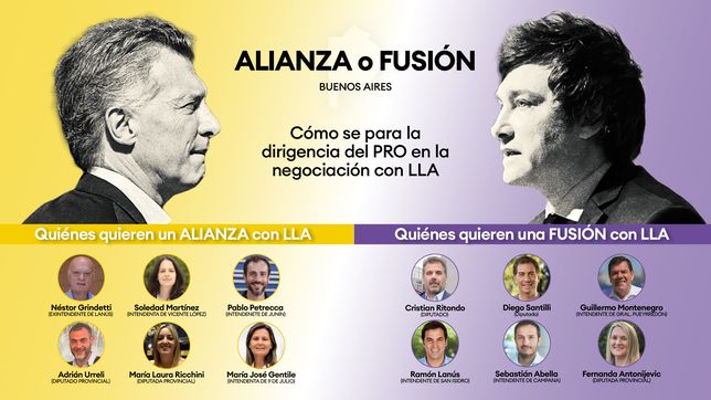 milei vs. macri: como se divide el pro en la provincia de buenos aires