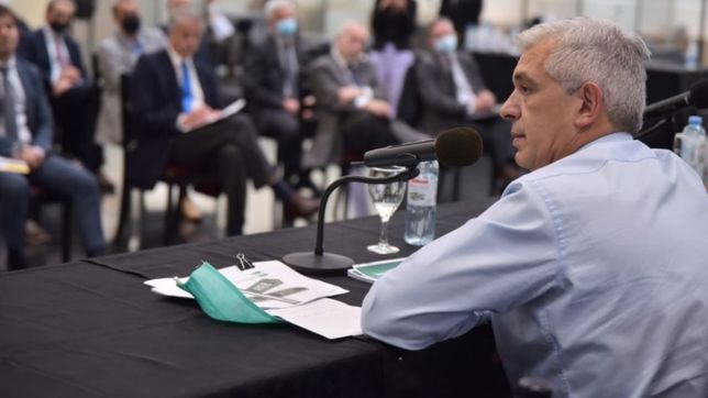 los otros motivos de dominguez para descabezar el senasa