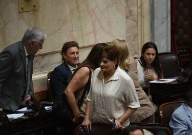 Diputados de provincias Unidas, claves en la votación del DNU 70/23