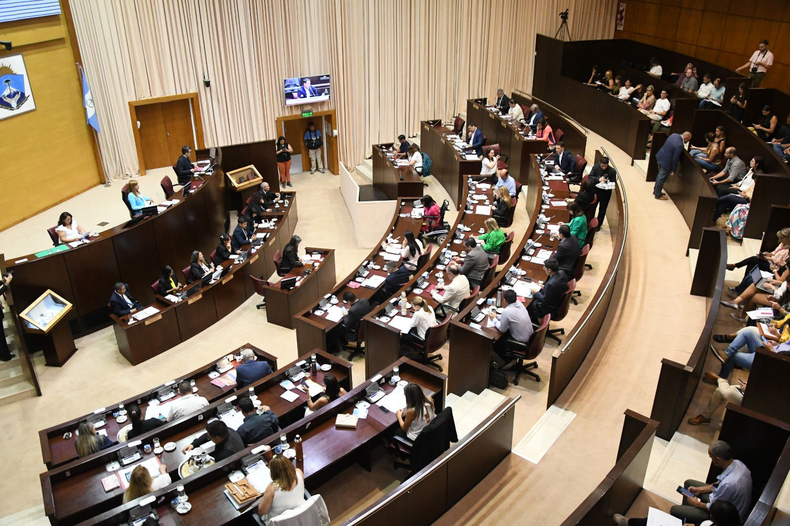 La Legislatura de Neuquén le dio el aval a la emergencia sanitaria.