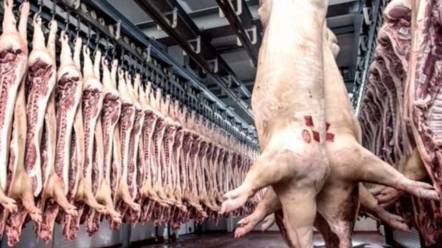 verna enciende otra luz roja en la rosada y busca frenar la importacion de cerdo