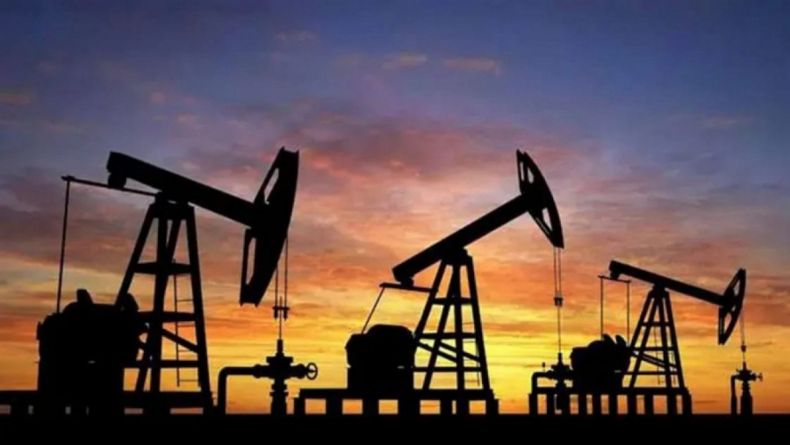 La Pampa adjudica El Medanito a Ribeiro SRL en una transici&oacute;n clave del sector petrolero