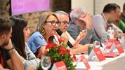 Mónica Fein fue reelecta al frente del Partido Socialista. Mónica Fein fue reelecta al frente del Partido Socialista.
