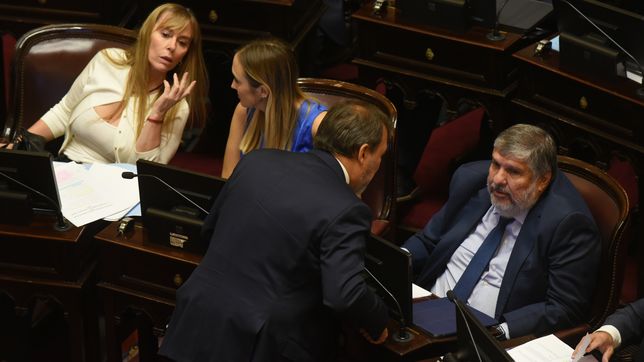 Juliana Di Tullio, Anabel Fernández Sagasti y José Mayans, referentes del kirchnerismo. 