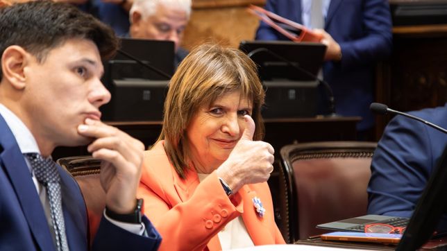 Patricia Bullrich, durante el debate del régimen penal juvenil de Javier Milei.&nbsp;