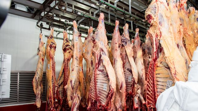Los frigoríficos de La Pampa cruzaron a Weretilneck y confían en Caputo para voltear la barrera sanitaria