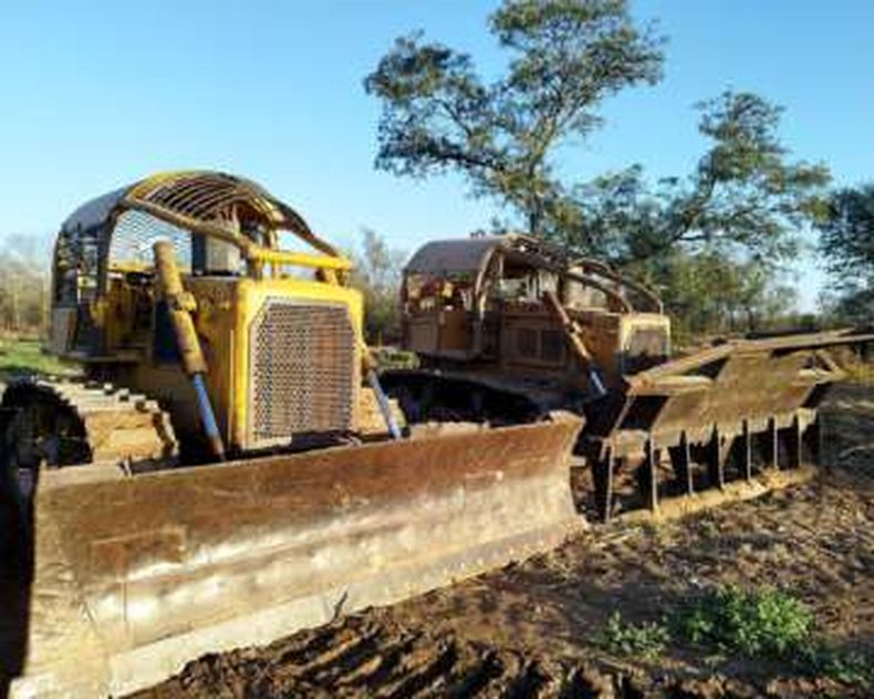 El desmonte ilegal en Chaco muestra la connivencia entre funcionarios y empresarios