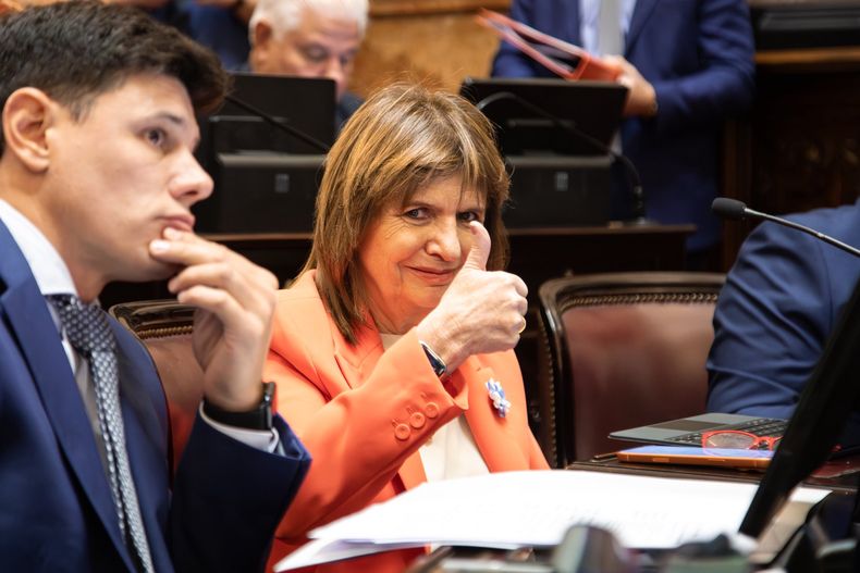 Patricia Bullrich, durante el debate del régimen penal juvenil de Javier Milei. 
