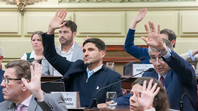 Santa Fe: los cinco debates que dividen las aguas en la discusión por la reforma constitucional