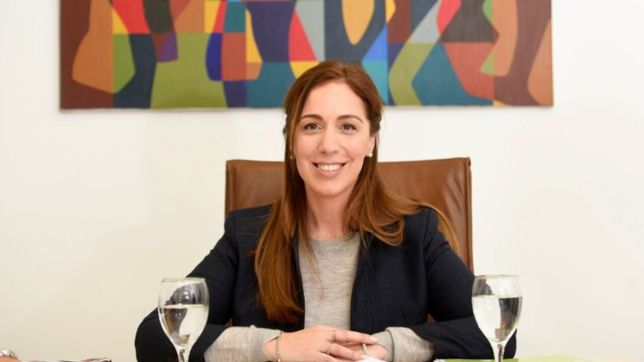 vidal y el desafio de construir politica desde una ong