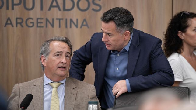 Nicolás Mayoraz y Gabriel Bornoroni, de La Libertad Avanza.