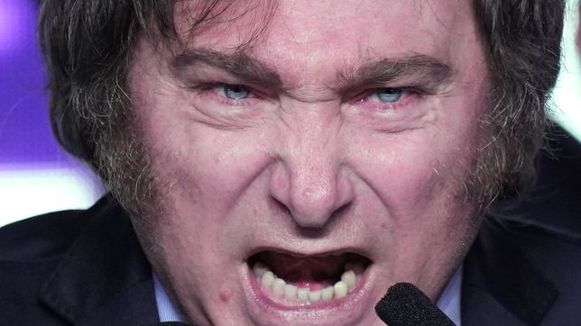 Javier Milei, el líder que se afirma en sus enemigos, como lo perfila el exsenador del PRO Esteban Bullrich.