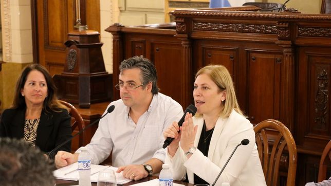 Debate. El ministro de Seguridad y Justicia Pablo Cococcioni junto a la vicegobernadora Gisela Scaglia, en plena defensa del proyecto ante los legisladores. 