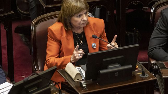 tras el desplante a los milei, bullrich aseguro que no hay riesgo de fractura del bloque