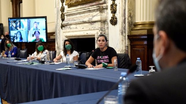 diputados define el cronograma de debate sobre la legalizacion del aborto