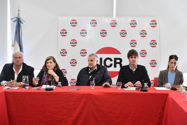 Cumbre UCR.jpeg
