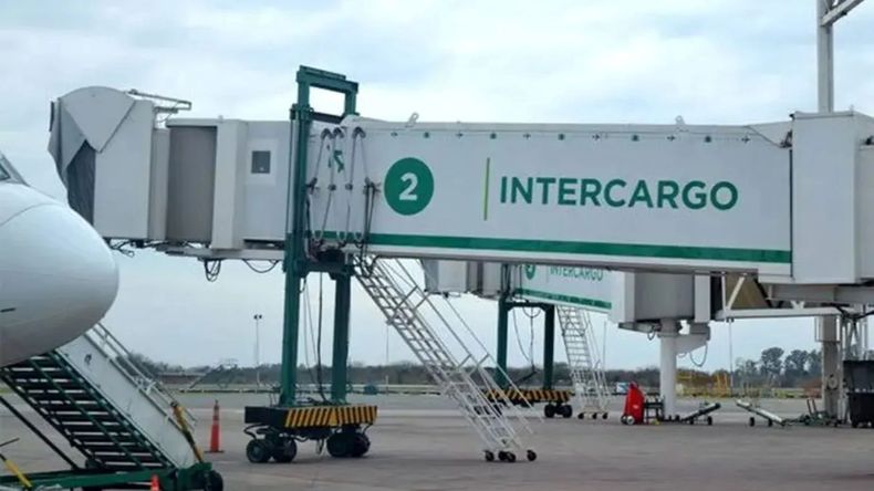 Privatización de Intercargo: Javier Milei y Federico Sturzenegger salen a subastar la empresa