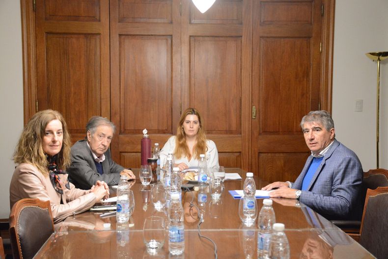 Hynes, Gramajo, la presidenta de la comisión bicameral Lionella Cattalini y Fabián Bastía, espada pullarista.