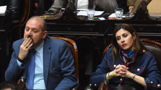 Carlos DAlessandro y Marcela Pagano, diputados que ya no responden a Javier Milei. 