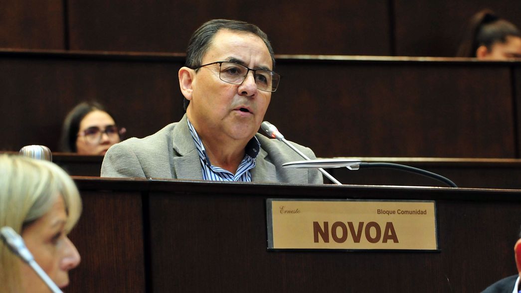 Novoa preside el bloque de Comunidad, el partido de Rolando Figueroa, y la comisión de Asuntos Constitucionales en la Legislatura de Neuquén.&nbsp;