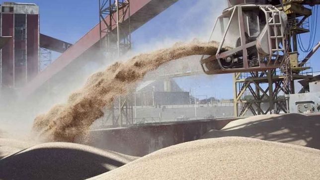 vicentin y el exceso de palanca que termino en default