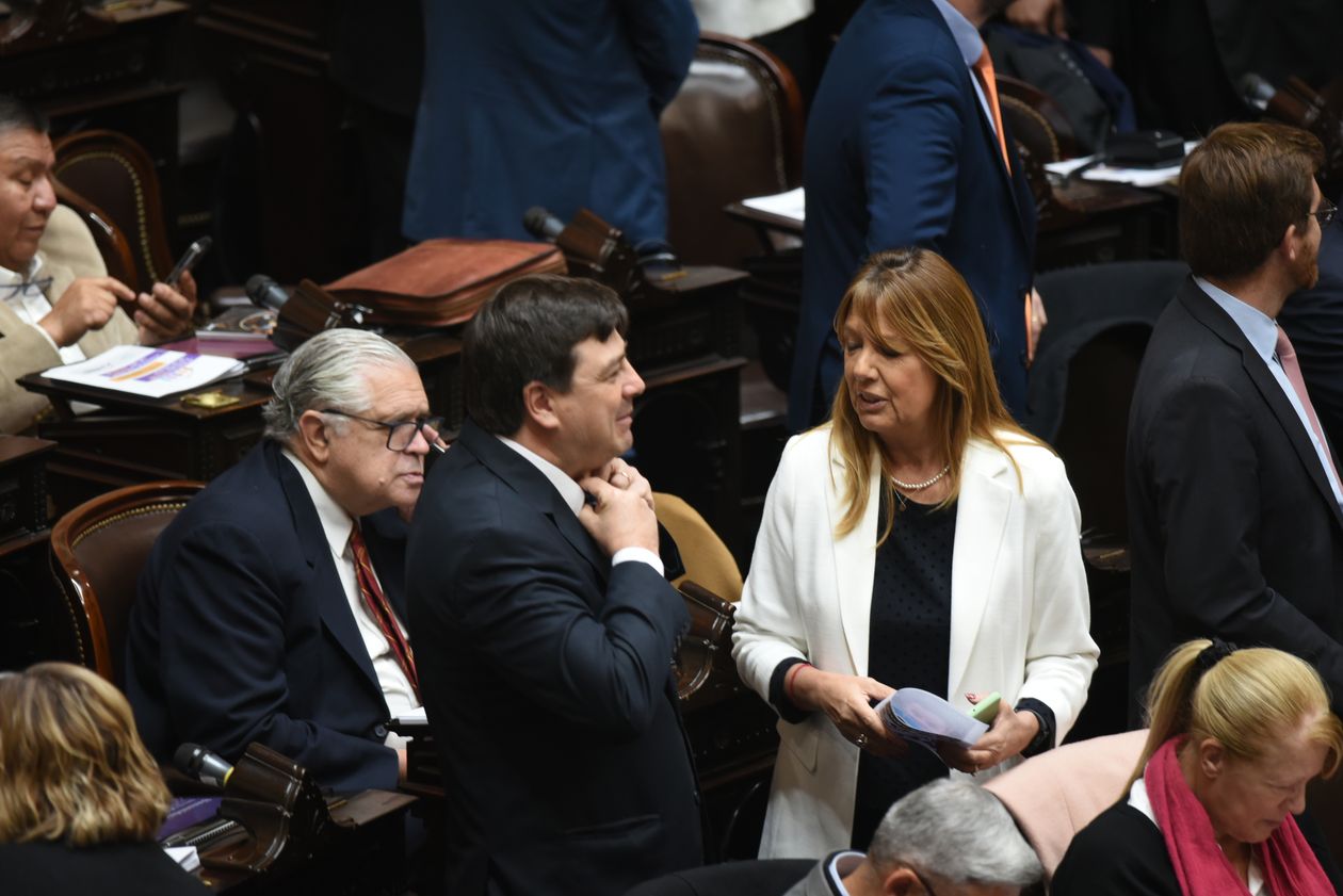 Ricardo López Murphy, de Encuentro Federal, clave en la negociación del Presupuesto.&nbsp;
