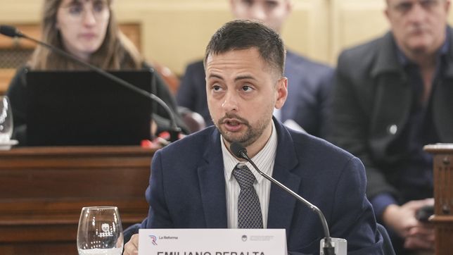 El diputado y convencional de Santa Fe, Emiliano Peralta.