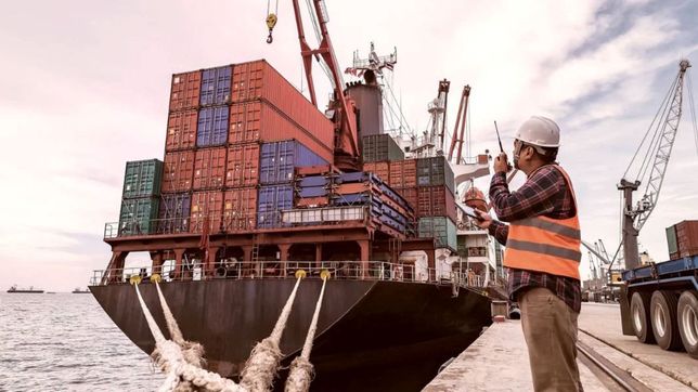 Las importaciones vienen llegando en la era Javier Milei