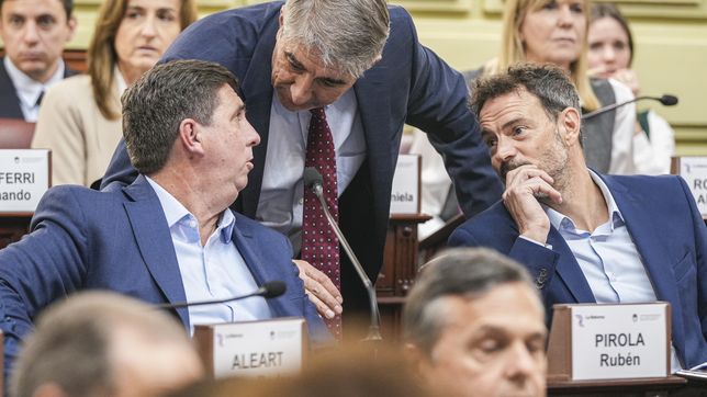 Diario de la Convención de Santa Fe, día cinco: qué intereses hay detrás del voto dividido del peronismo