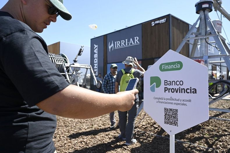 El Banco Provincia apostará fuerte en la Expo Agro 2026