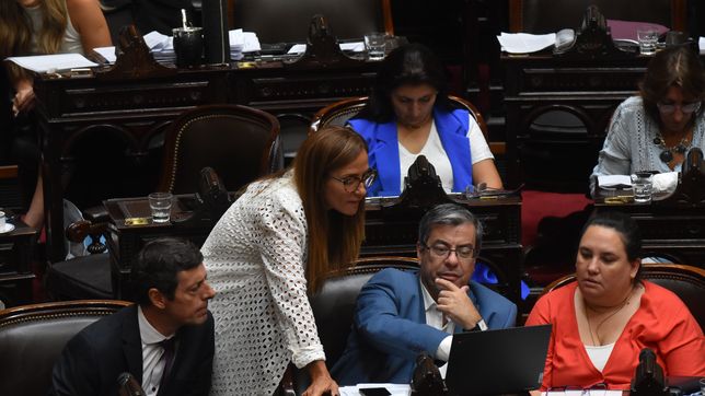 Germán Martínez, jefe del bloque del kirchnerismo.&nbsp;