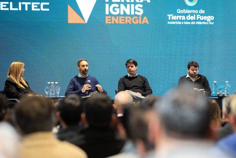 El acuerdo entre Terra Ignis Energía S.A. y Velitec S.A se formalizó hace un mes. 