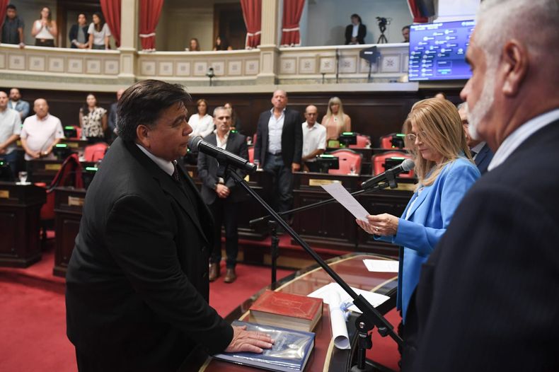 Mario Ishii juró como vicepresidente primero del Senado.