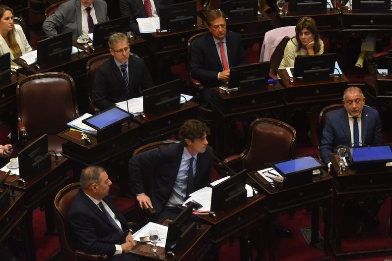 El bloque de la UCR en la sesión del Senado que trató el DNU