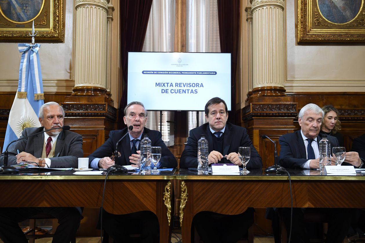 Juan Carlos Romero, Miguel Pichetto, Mariano Recalde y Álvaro González, durante la comisión en la que Milei ayudó a Macri.&nbsp;