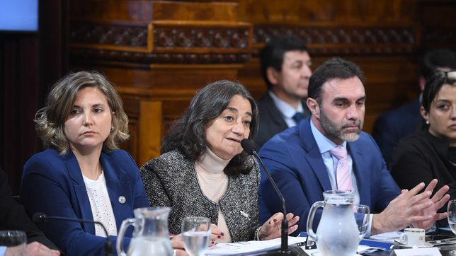 Lucía Corpacci del peronismo, en la comisión de salud, junto a Ezequiel Atauche de LLA 