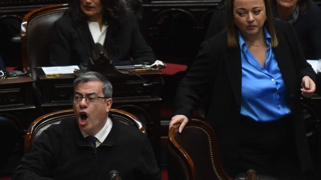 Germán Martínez y Cecilia Moreau de UP, durante la derrota por jubilaciones. 