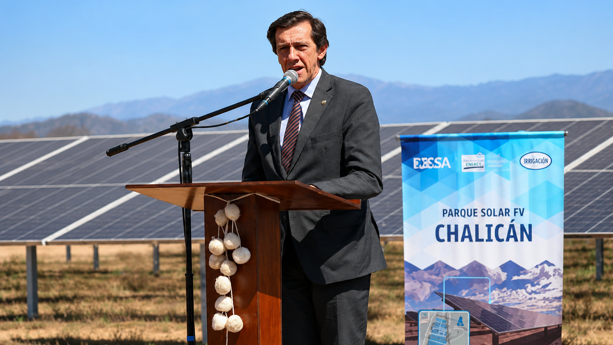 Un crédito internacional para un parque solar, en la negociación entre Carlos Sadir y la Casa Rosada.