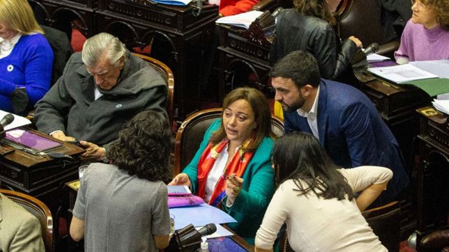 humo blanco: con escueto apoyo opositor, cecilia moreau sucedera a massa