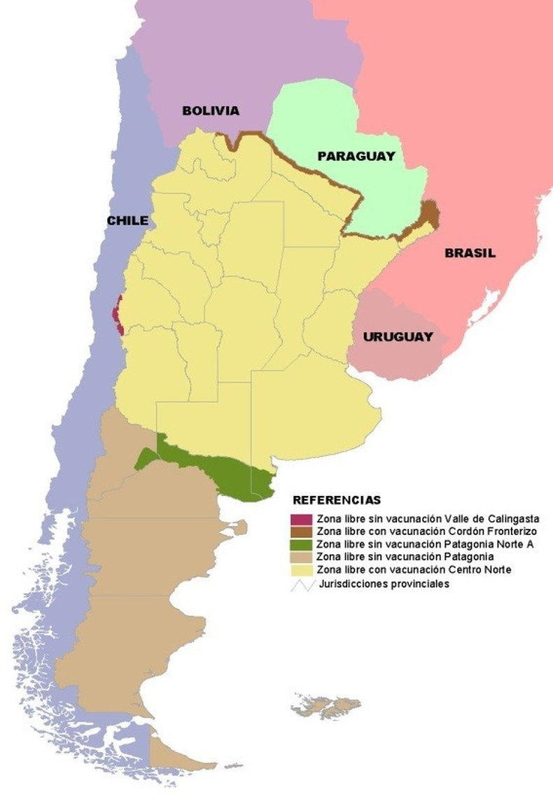 El mapa sobre el estatus sanitario de la fiebre aftosa. La Patagonia tiene un diferencial histórico.